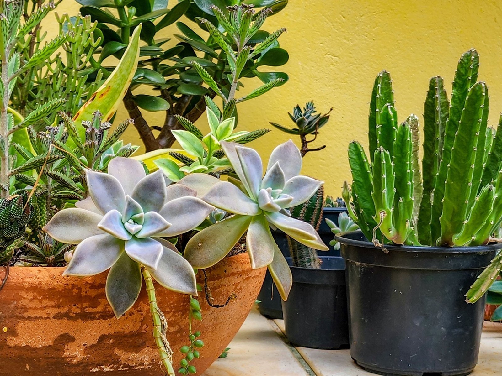 Villa Nau House in Ilhabela, State of São Paulo, Brazil 1 - 13949569