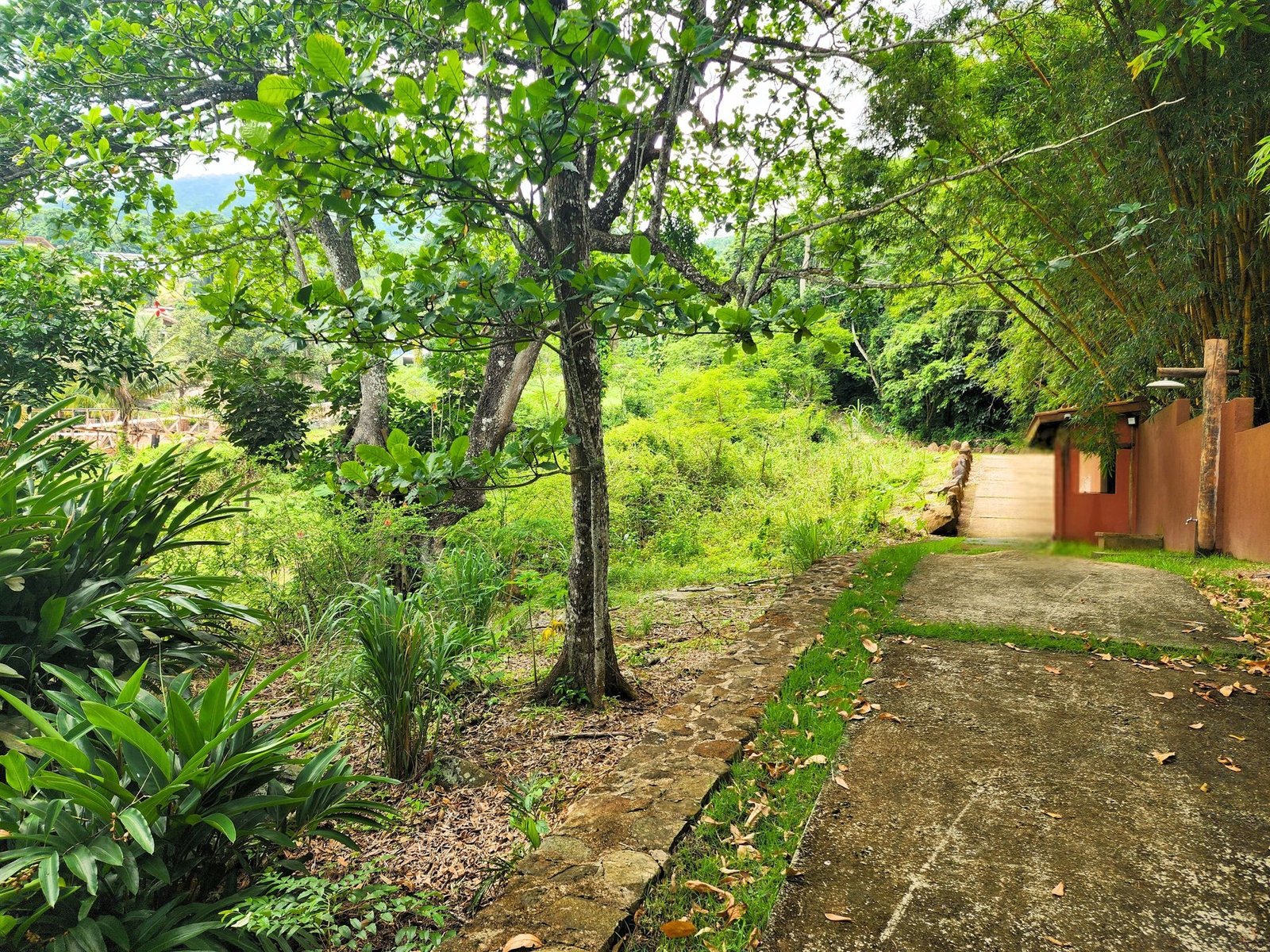 Passarela House House in Ilhabela, State of São Paulo, Brazil 1 - 16026109
