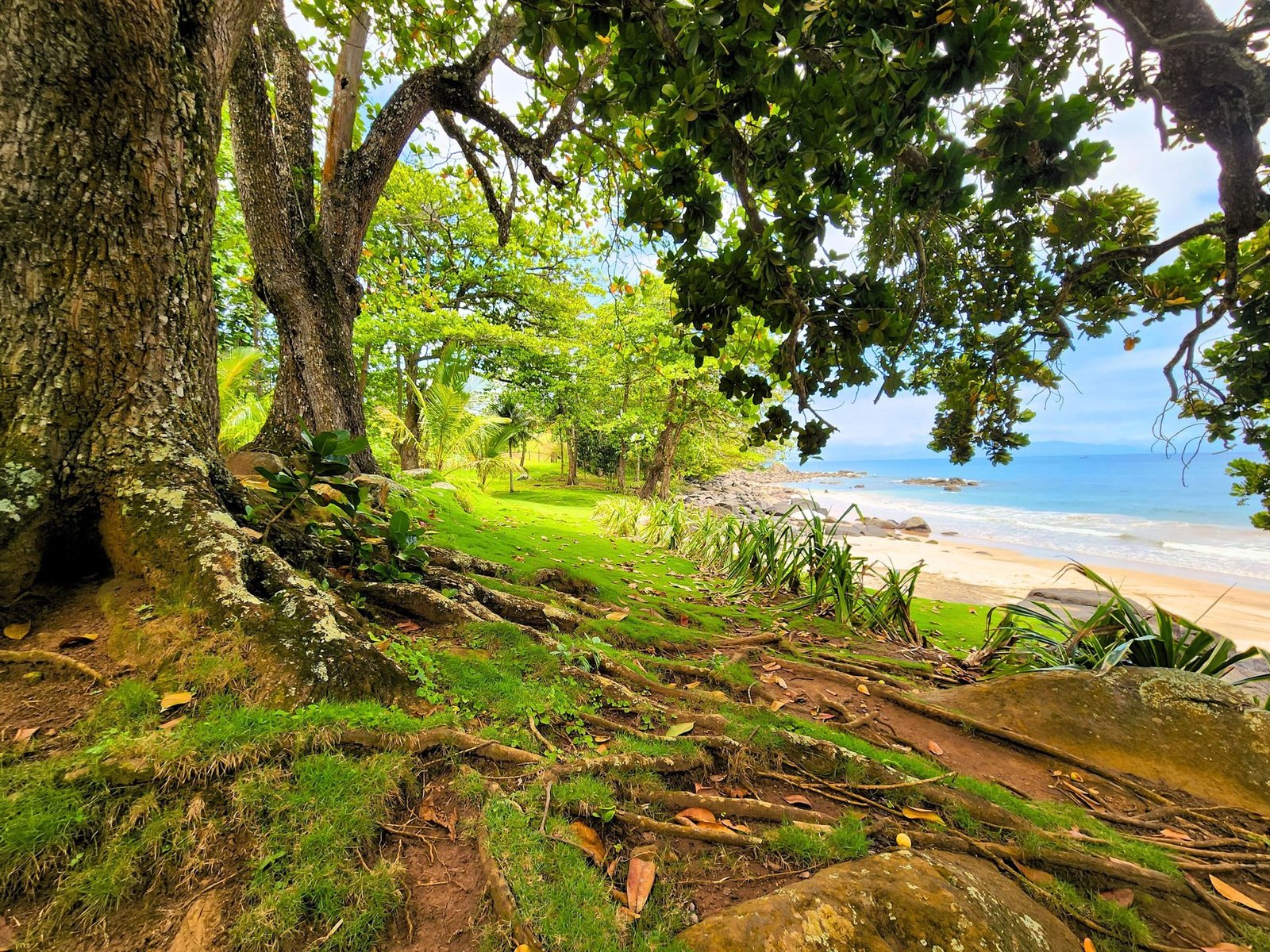 Passarela House House in Ilhabela, State of São Paulo, Brazil 1 - 16026109