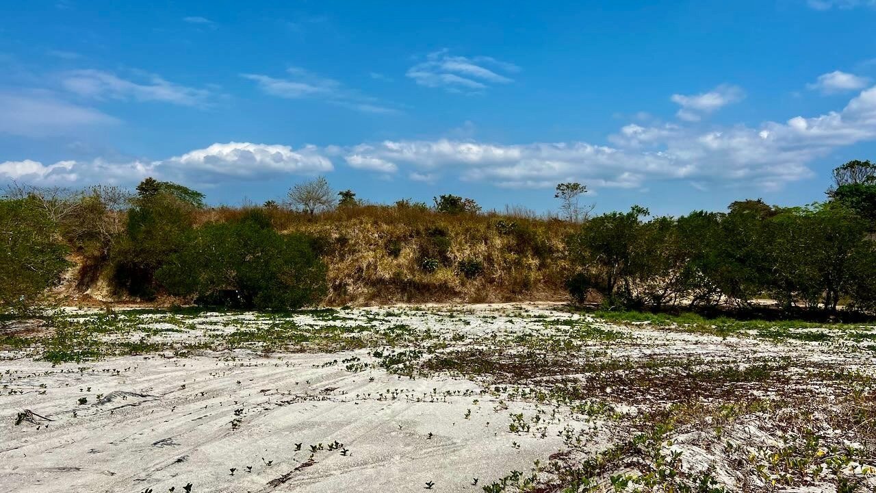 Premium Beachfront Land Land in El Higo, Provincia de Panamá Oeste, Panama 1 - 12660214