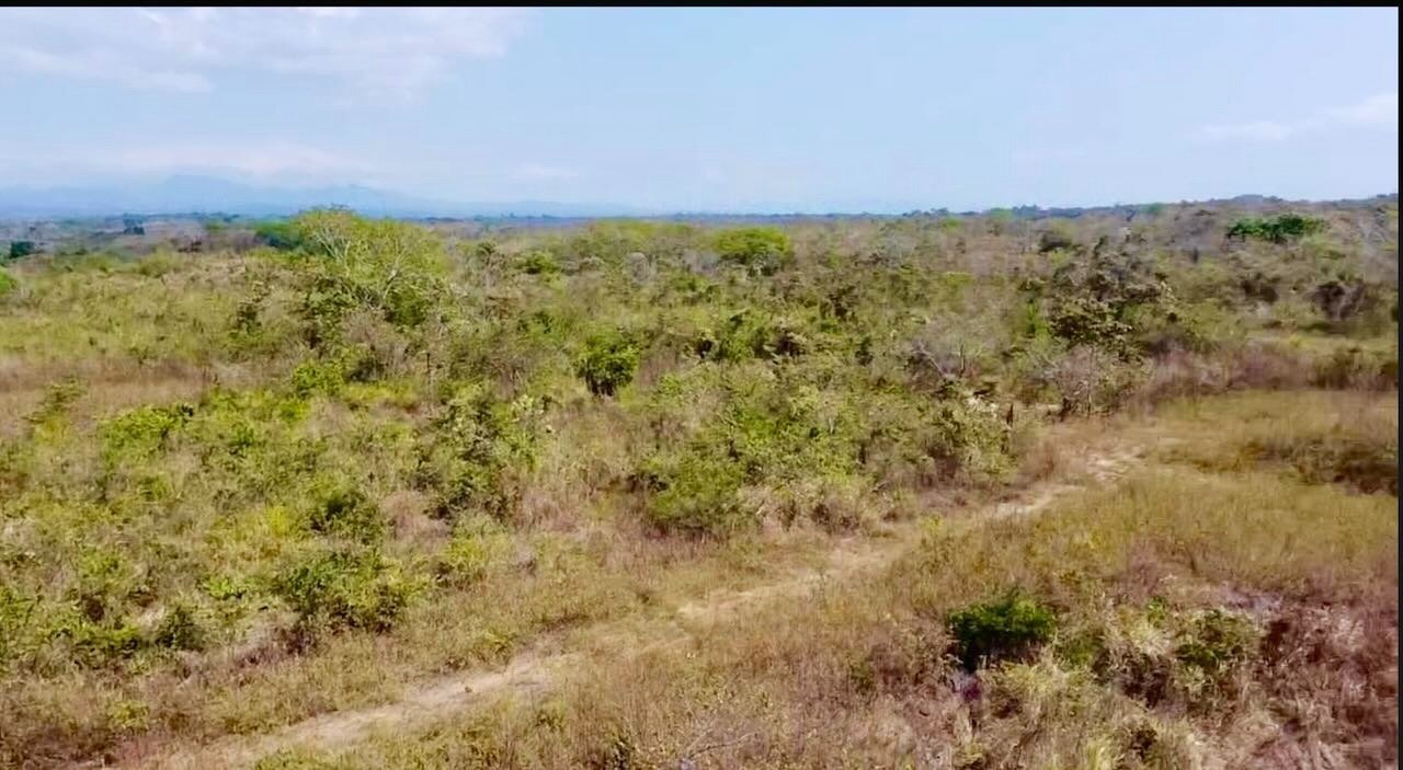 Premium Beachfront Land Land in El Higo, Provincia de Panamá Oeste, Panama 1 - 12660214