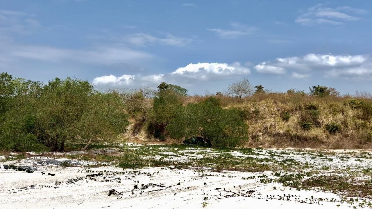 Premium Beachfront Land Land in El Higo, Provincia de Panamá Oeste, Panama 1 - 12660214