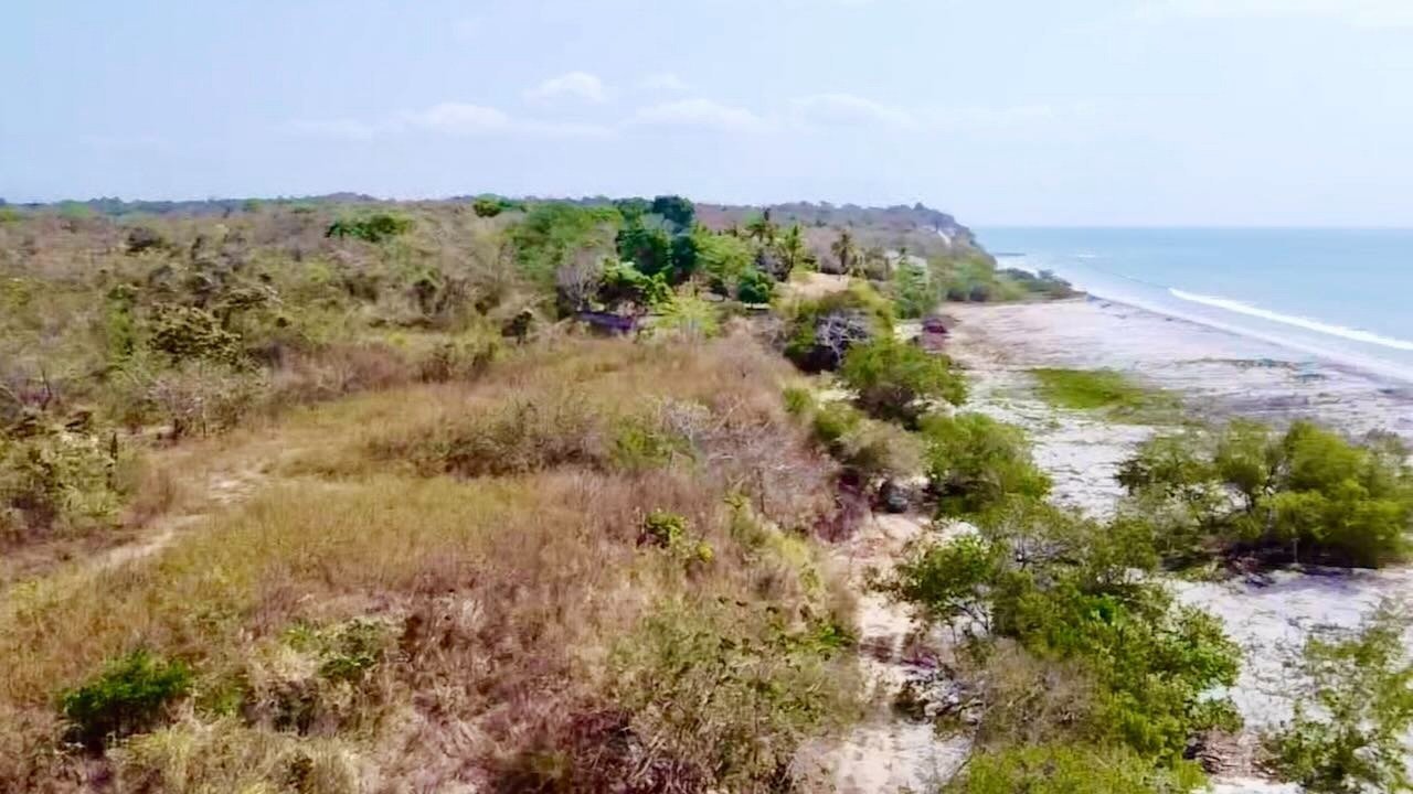 Premium Beachfront Land Land in El Higo, Provincia de Panamá Oeste, Panama 1 - 12660214