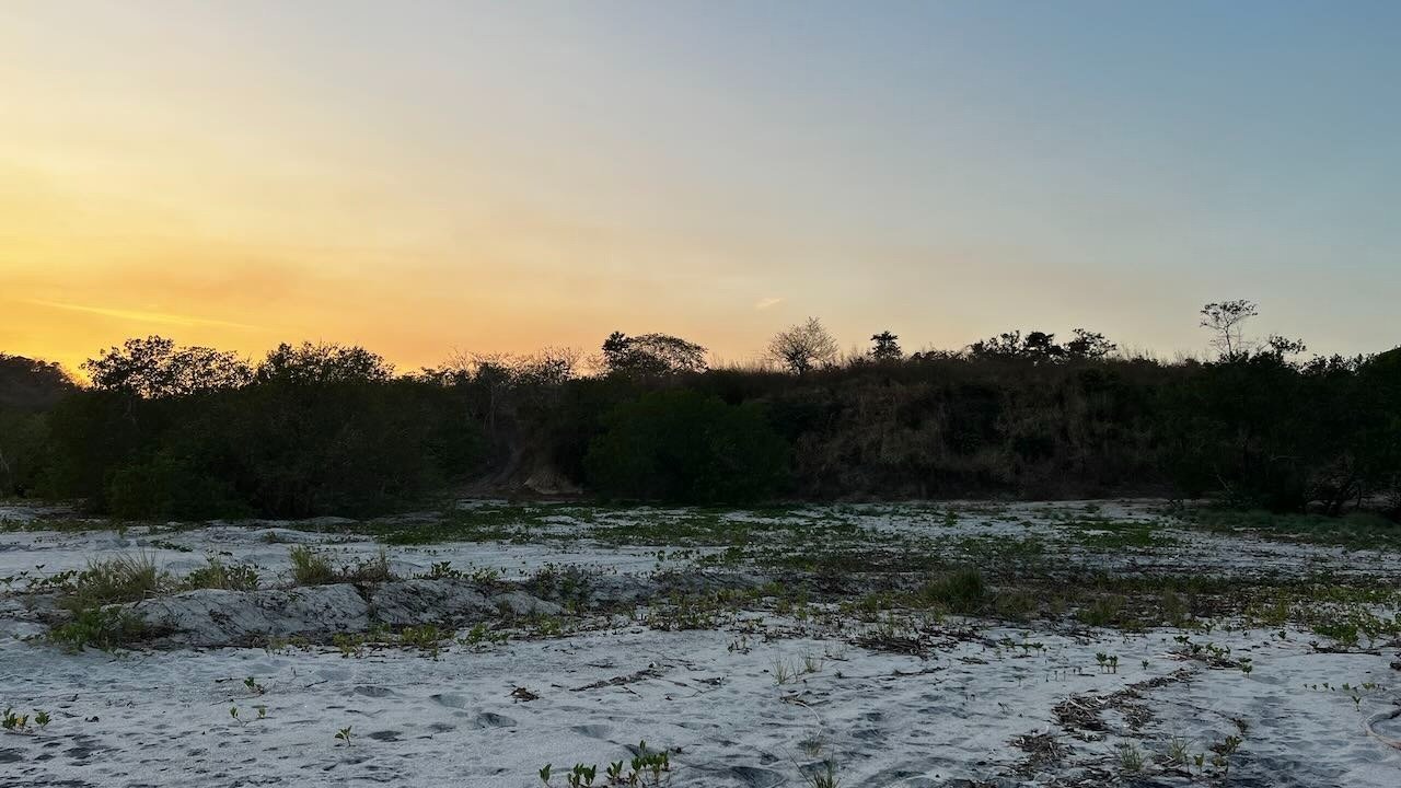 Premium Beachfront Land Land in El Higo, Provincia de Panamá Oeste, Panama 1 - 12660214