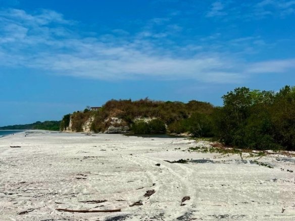 Land in El Higo, Provincia de Panamá Oeste, Panama 1 - 12660214