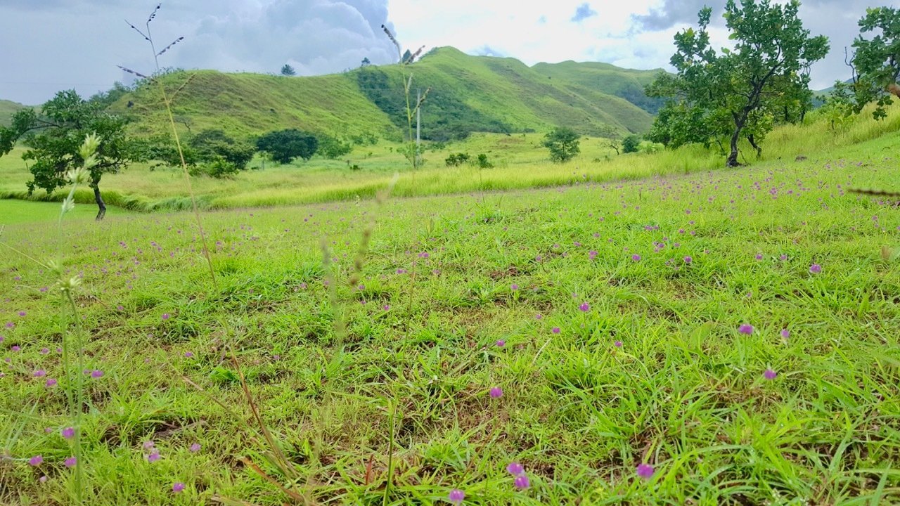 Looking For Mountain Land With Ocean View? Land in El Nancito, Panama, Panama 1 - 11967261