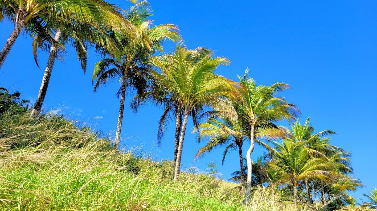 Private Promontory Land in Ilhabela, State of São Paulo, Brazil 1 - 16059843