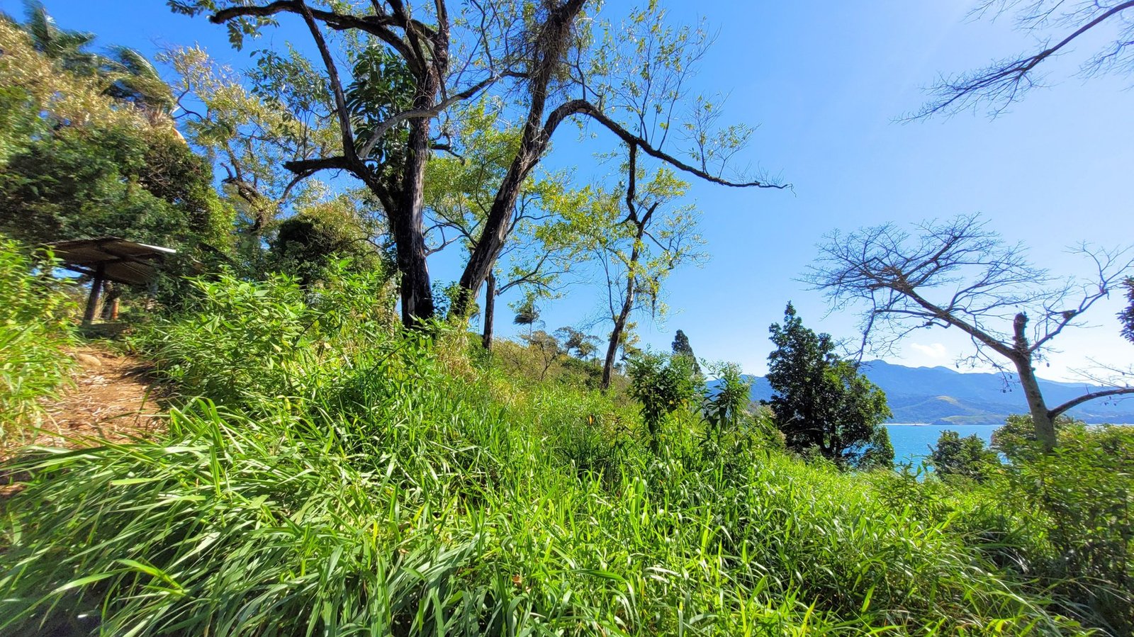 Private Promontory Land in Ilhabela, State of São Paulo, Brazil 1 - 16059843