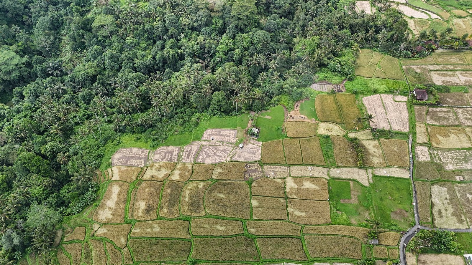 Land in Ubud, Bali, Indonesia 1 - 14412540