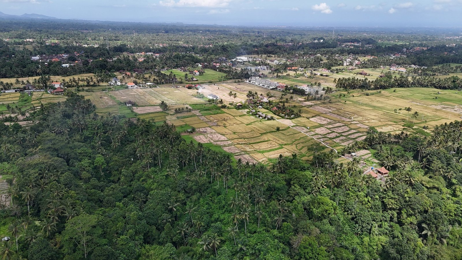 Land in Ubud, Bali, Indonesia 1 - 14412540