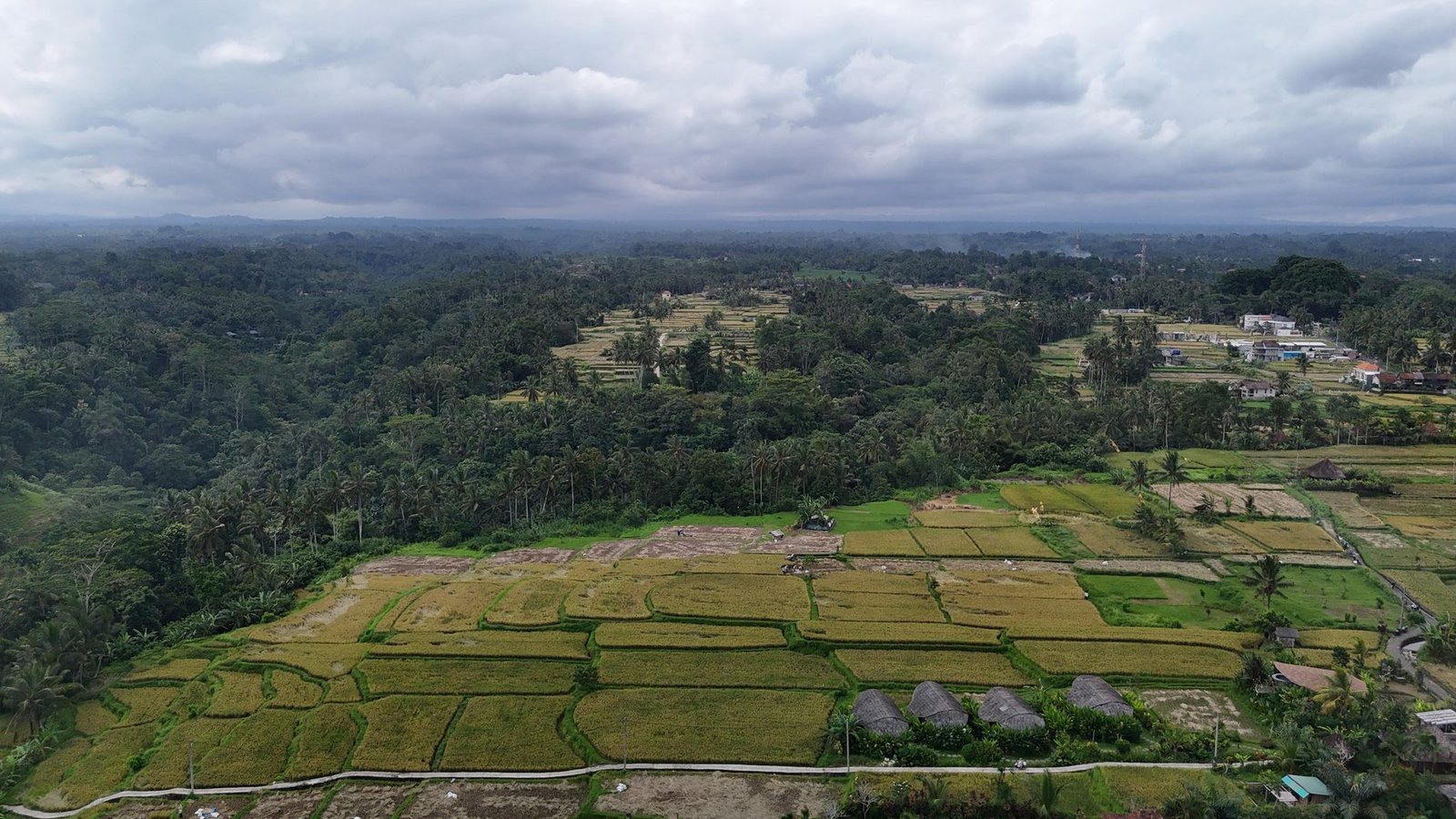 Land in Ubud, Bali, Indonesia 1 - 14412540