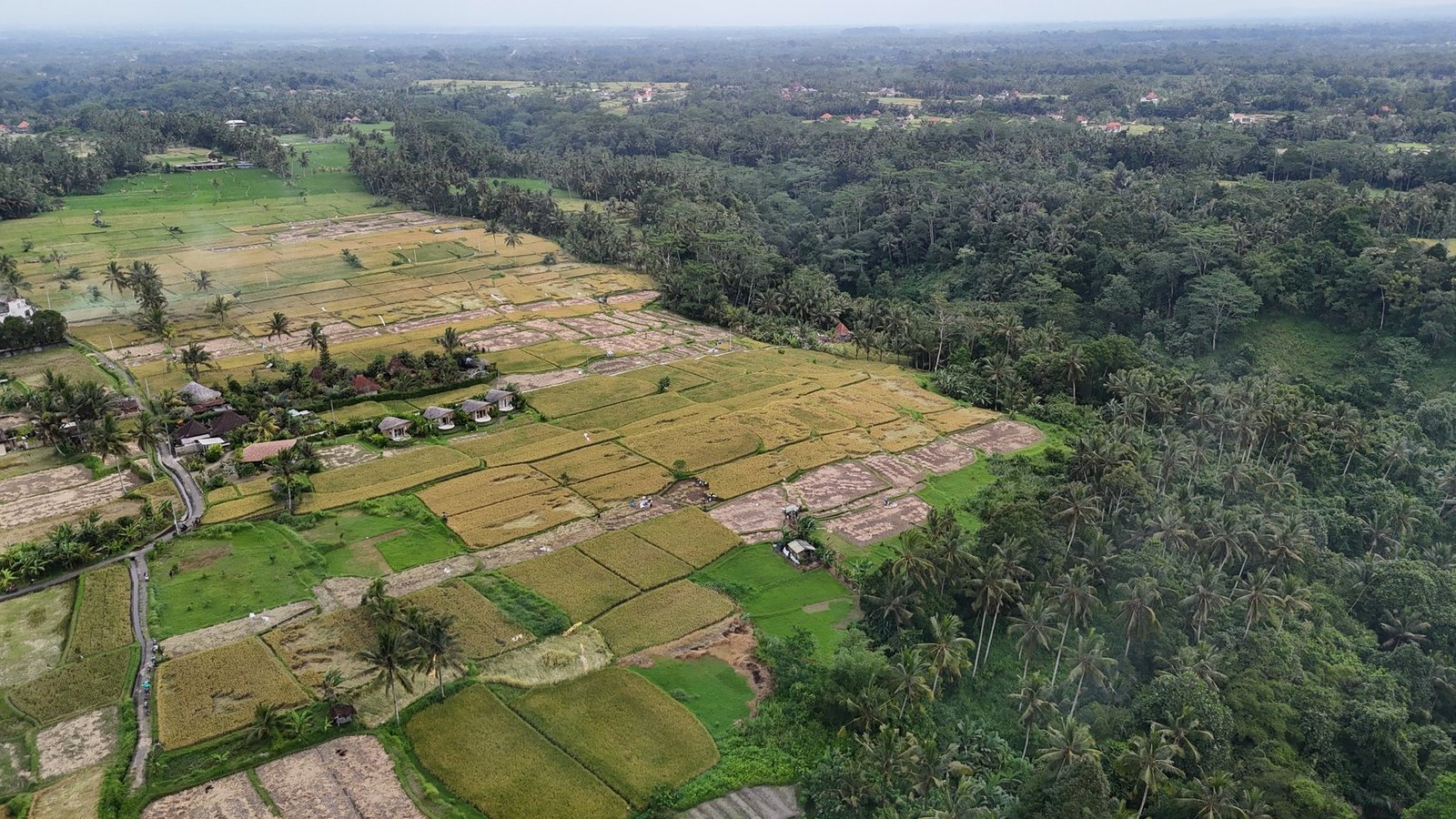 Land in Ubud, Bali, Indonesia 1 - 14412540