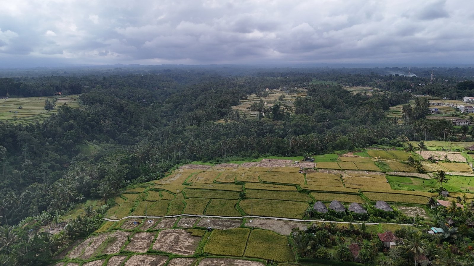 Land in Ubud, Bali, Indonesia 1 - 14412540