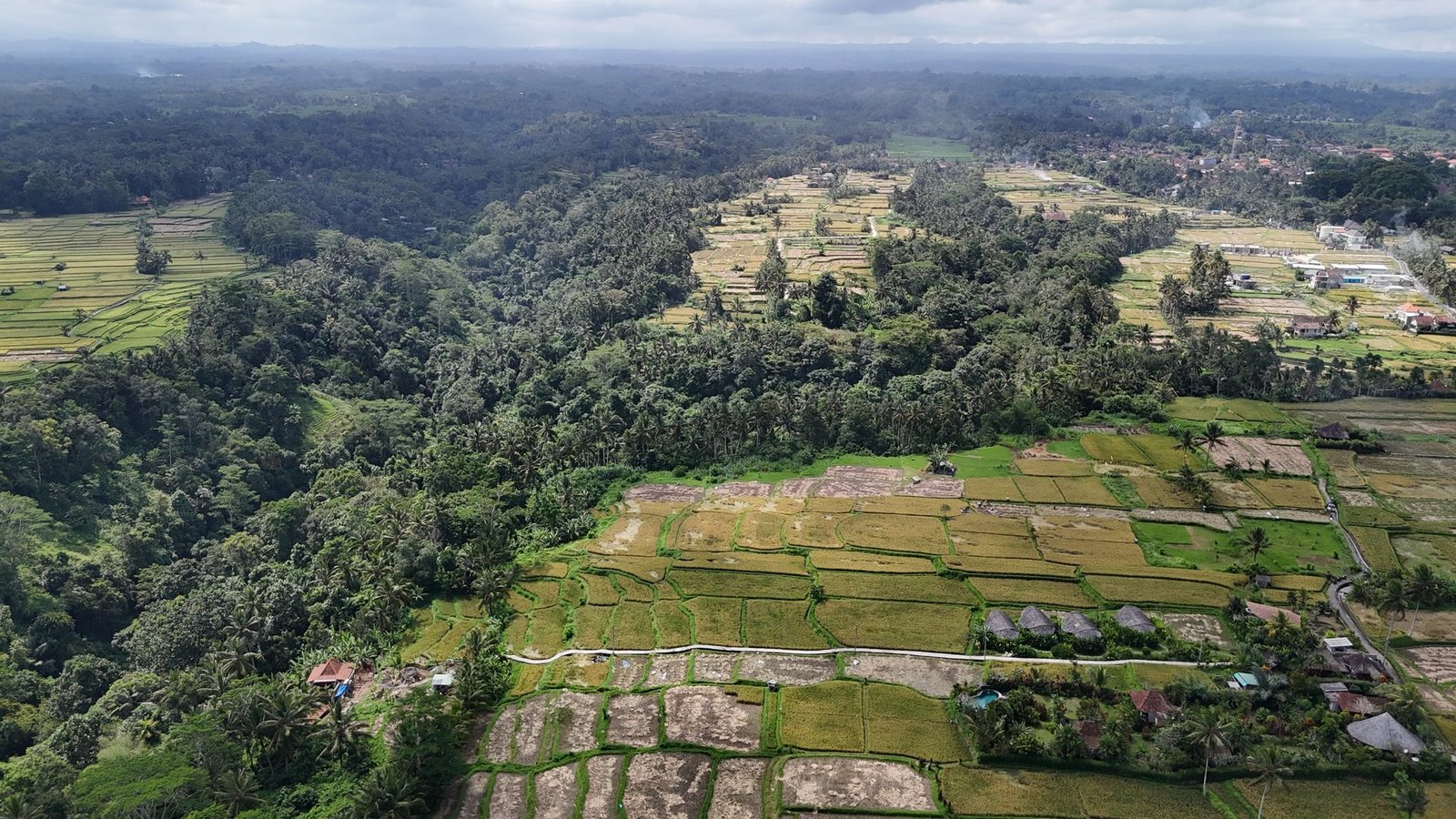 Land in Ubud, Bali, Indonesia 1 - 14412540