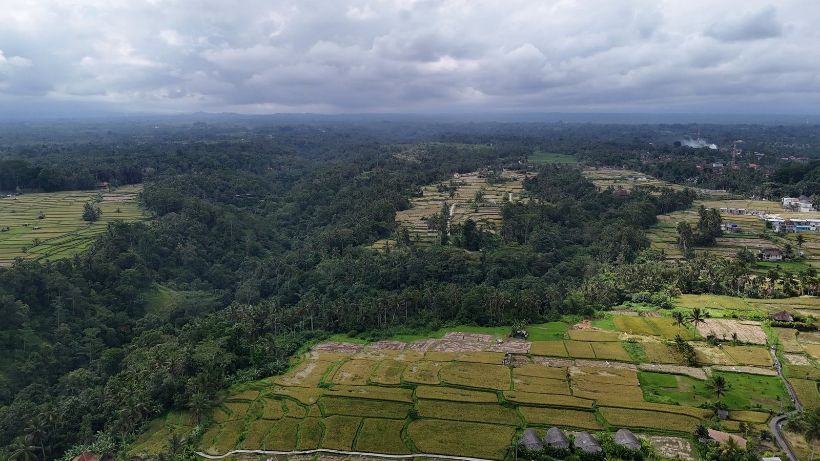 Land in Ubud, Bali, Indonesia 1 - 14412540