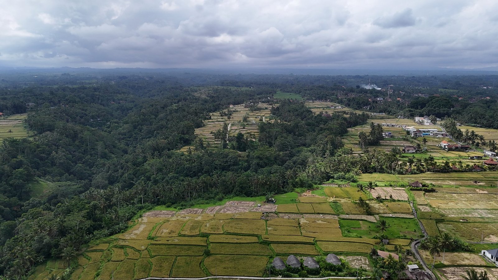 Land in Ubud, Bali, Indonesia 1 - 14412540