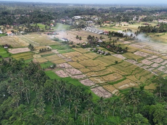 Land in Ubud, Bali, Indonesia 1 - 14412540