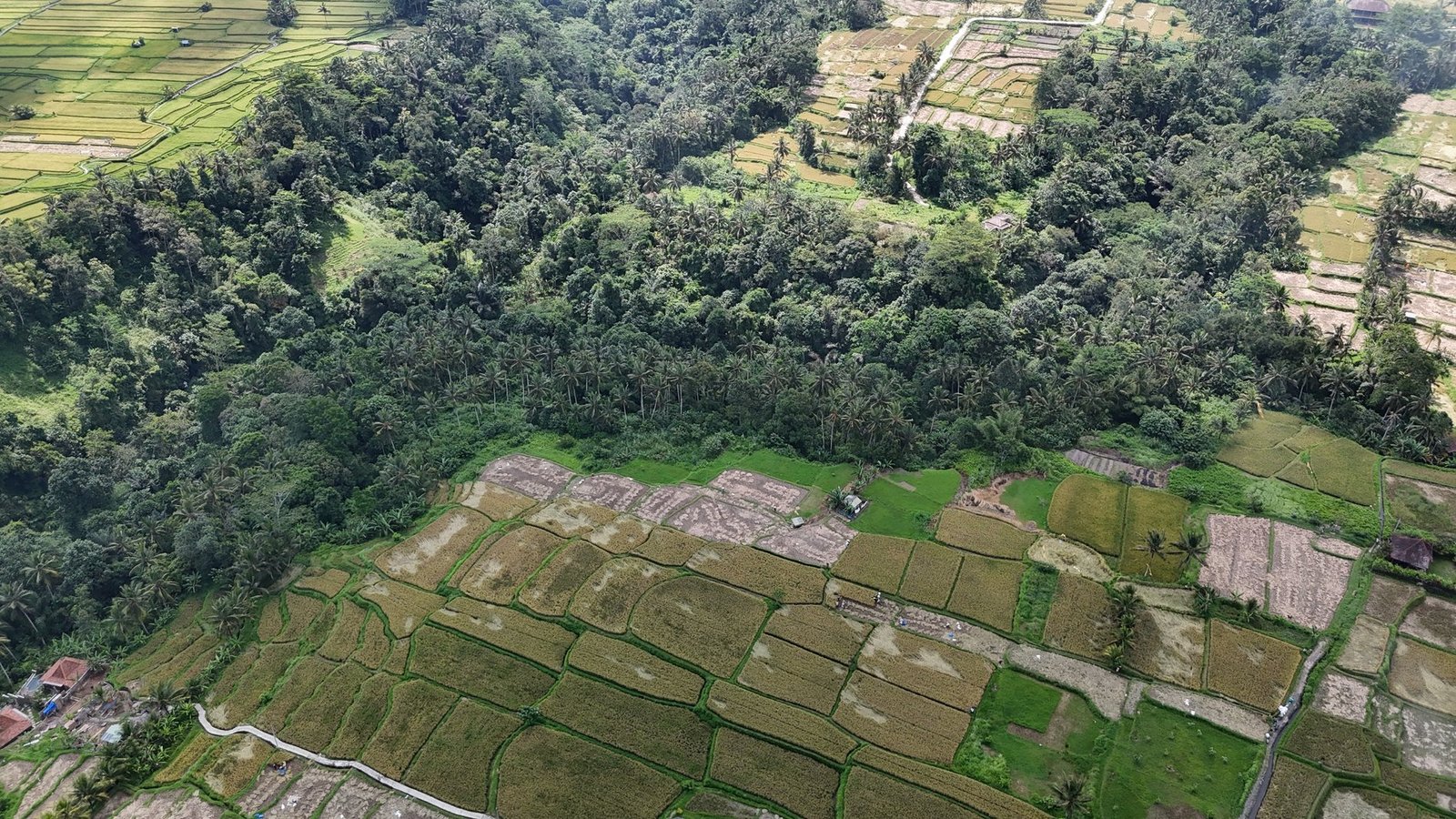Land in Ubud, Bali, Indonesia 1 - 14412540