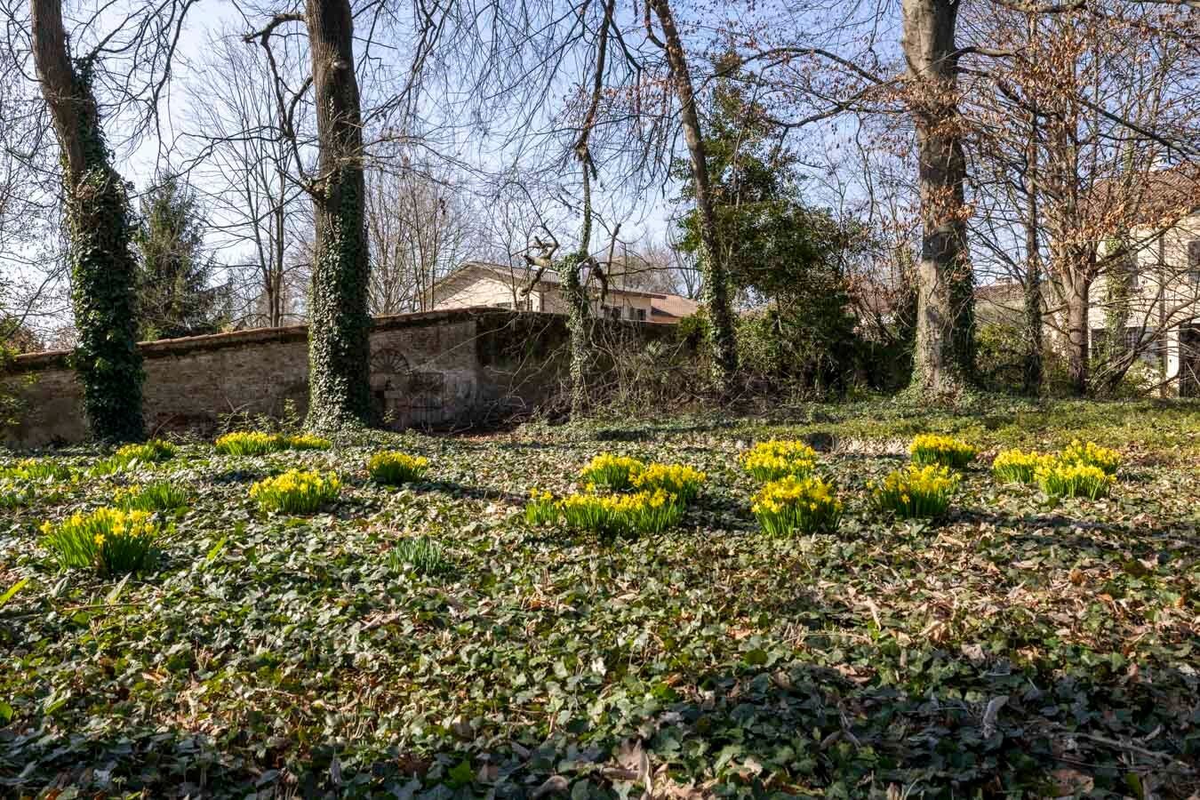 18 Century Venetian Villa On The Riviera Del Brenta Villa in Dolo, Veneto, Italy 1 - 15427893