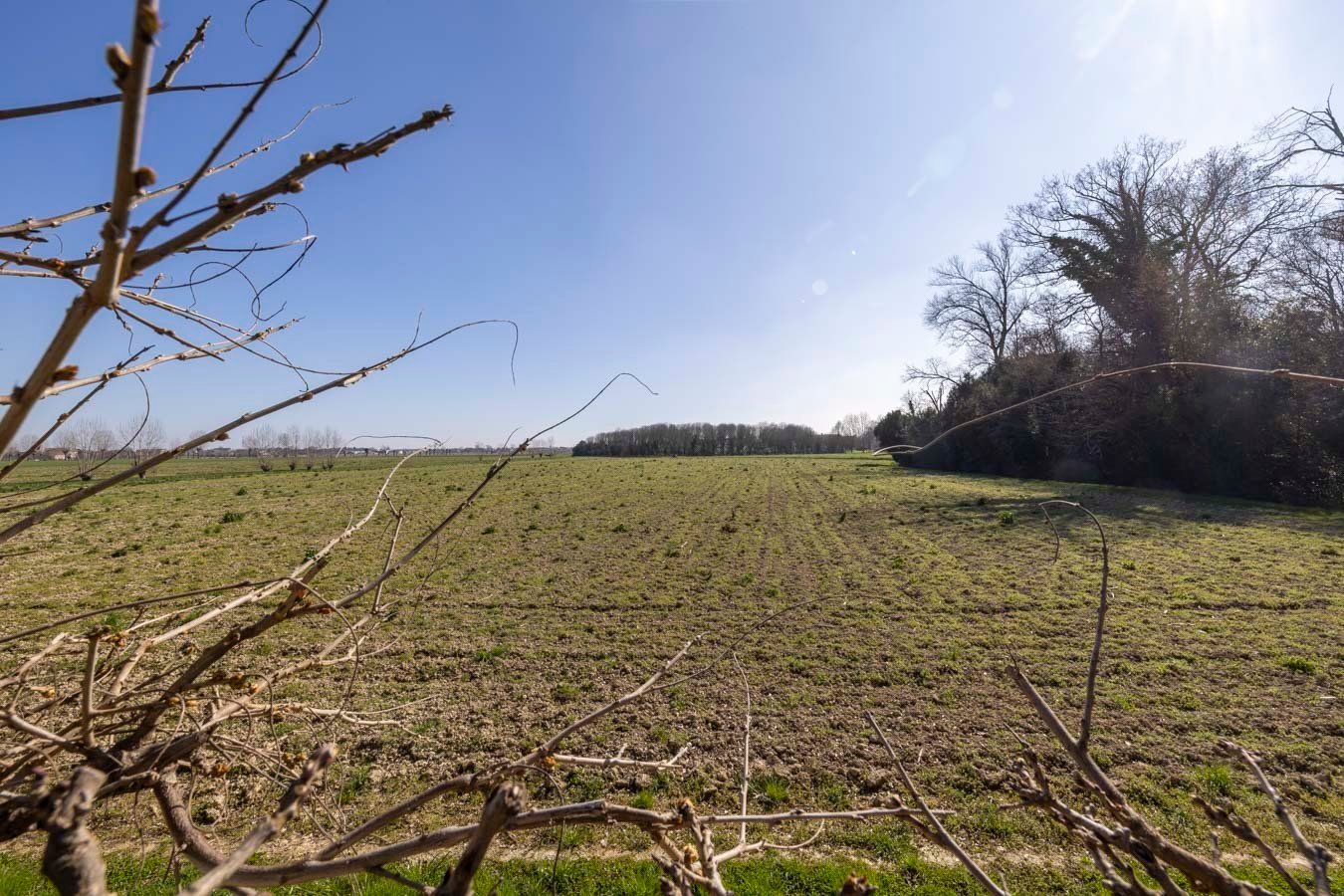 18 Century Venetian Villa On The Riviera Del Brenta Villa in Dolo, Veneto, Italy 1 - 15427893