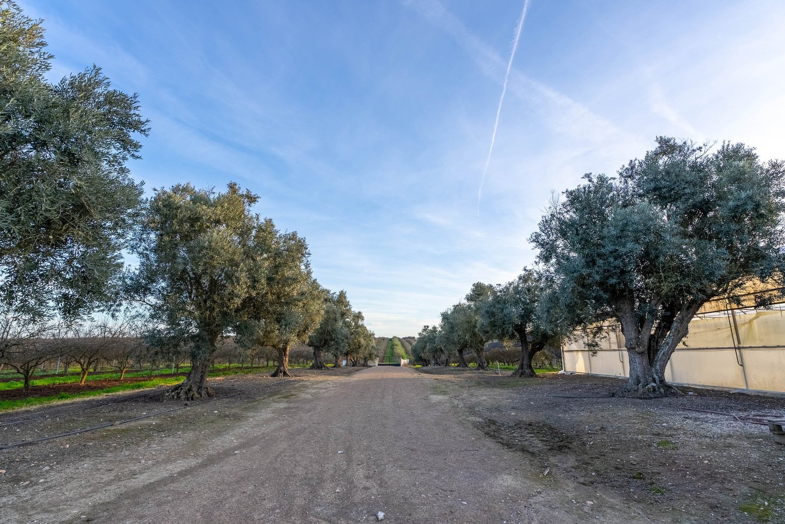 Magnificent Estate With 81.5 Hectares, In Messejana Farm Ranch in Messejana, Beja District, Portugal 1 - 15064136