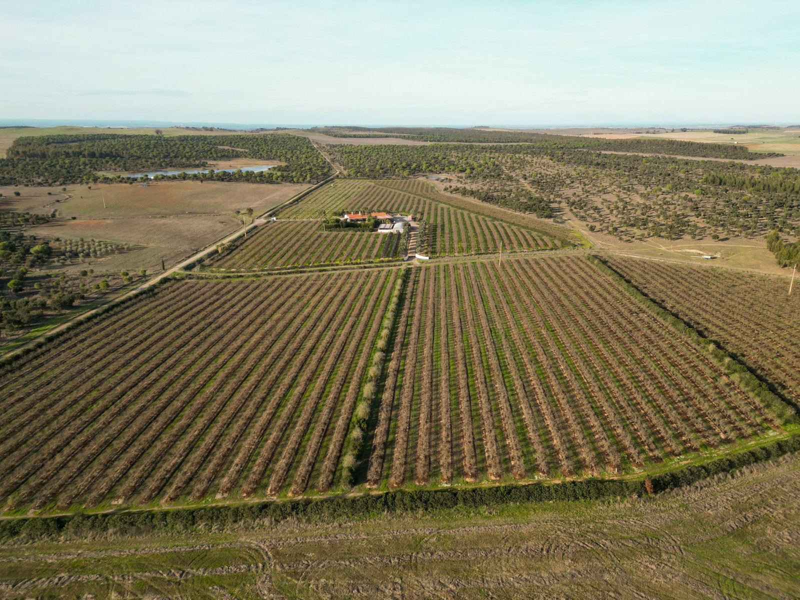 Magnificent Estate With 81.5 Hectares, In Messejana Farm Ranch in Messejana, Beja District, Portugal 1 - 15064136