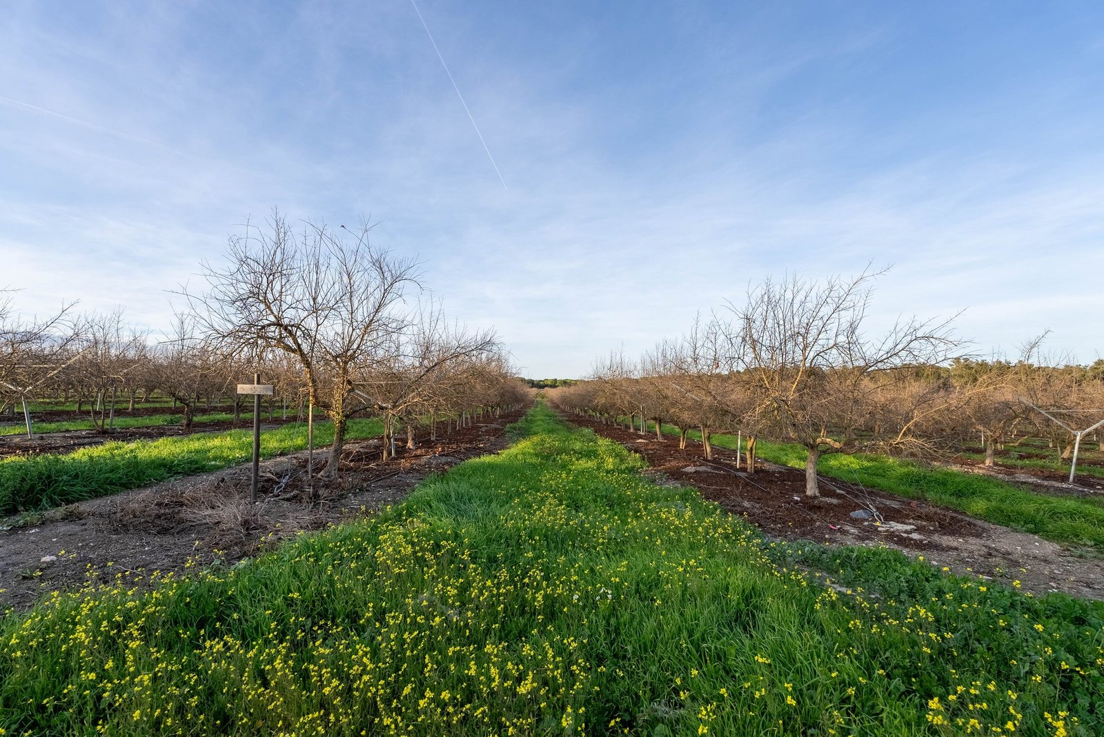 Magnificent Estate With 81.5 Hectares, In Messejana Farm Ranch in Messejana, Beja District, Portugal 1 - 15064136