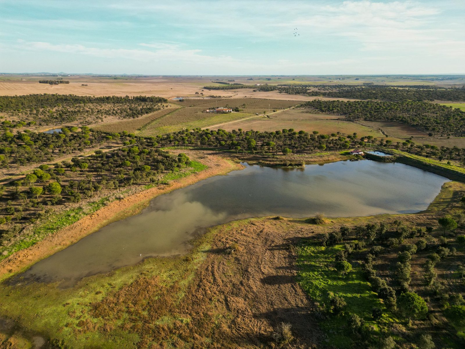 Magnificent Estate With 81.5 Hectares, In Messejana Farm Ranch in Messejana, Beja District, Portugal 1 - 15064136