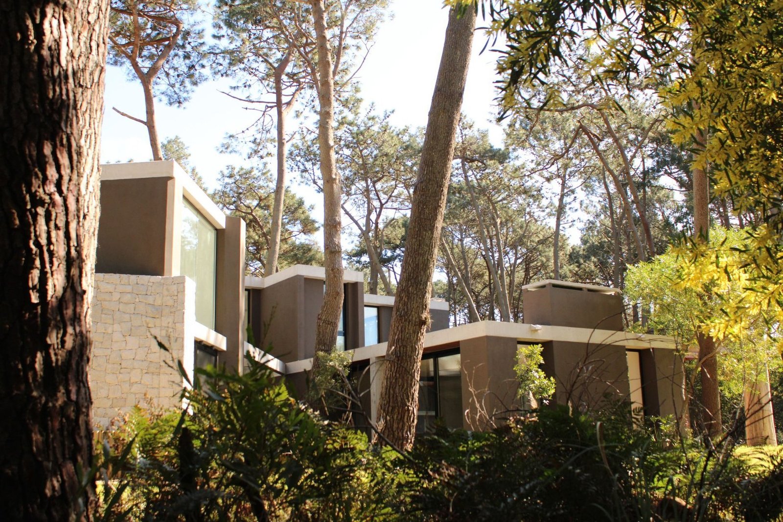 Incredible House In Private Neighborhood Reserva Montoya House in Laguna Blanca, Maldonado Department, Uruguay 1 - 13879505