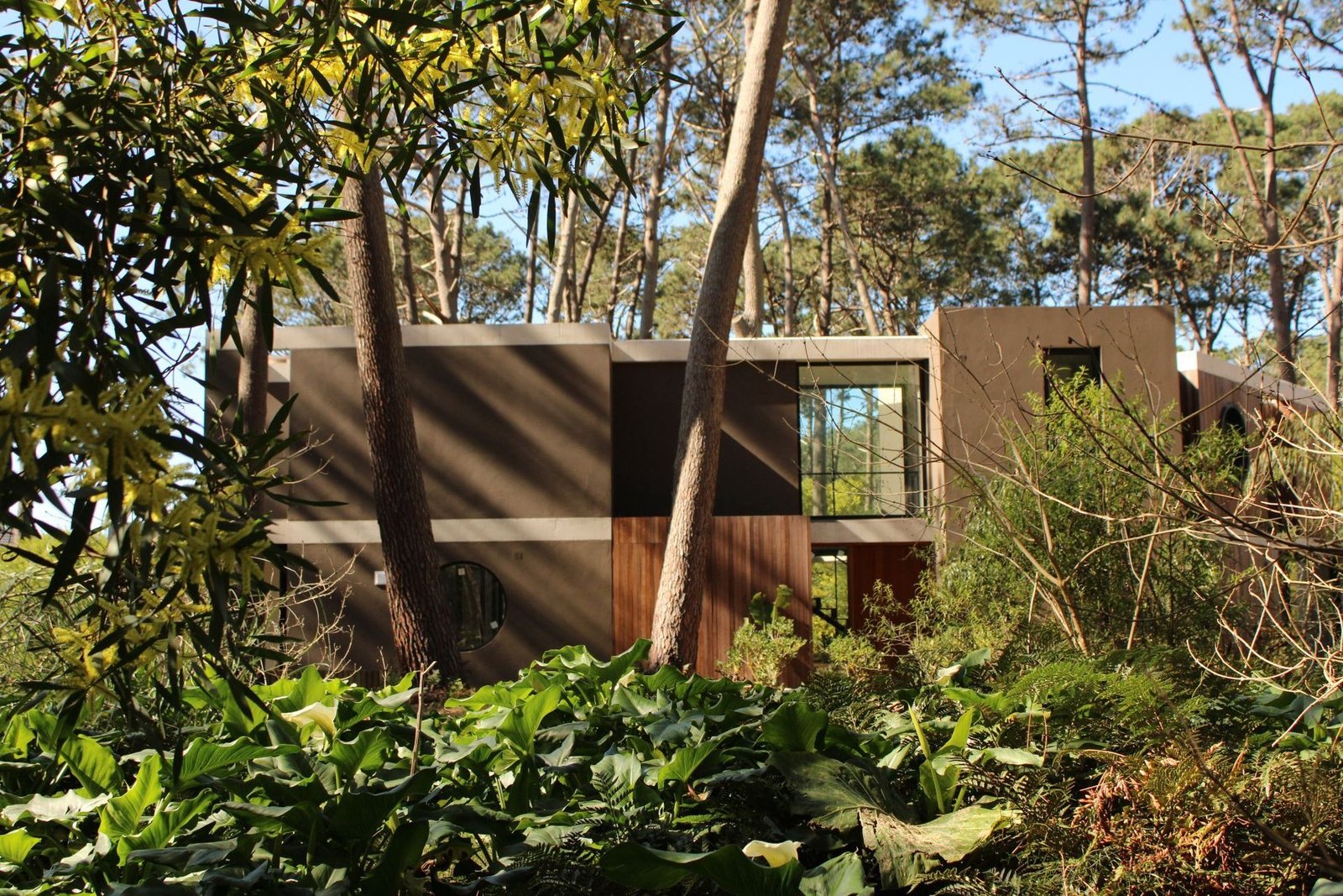 Incredible House In Private Neighborhood Reserva Montoya House in Laguna Blanca, Maldonado Department, Uruguay 1 - 13879505