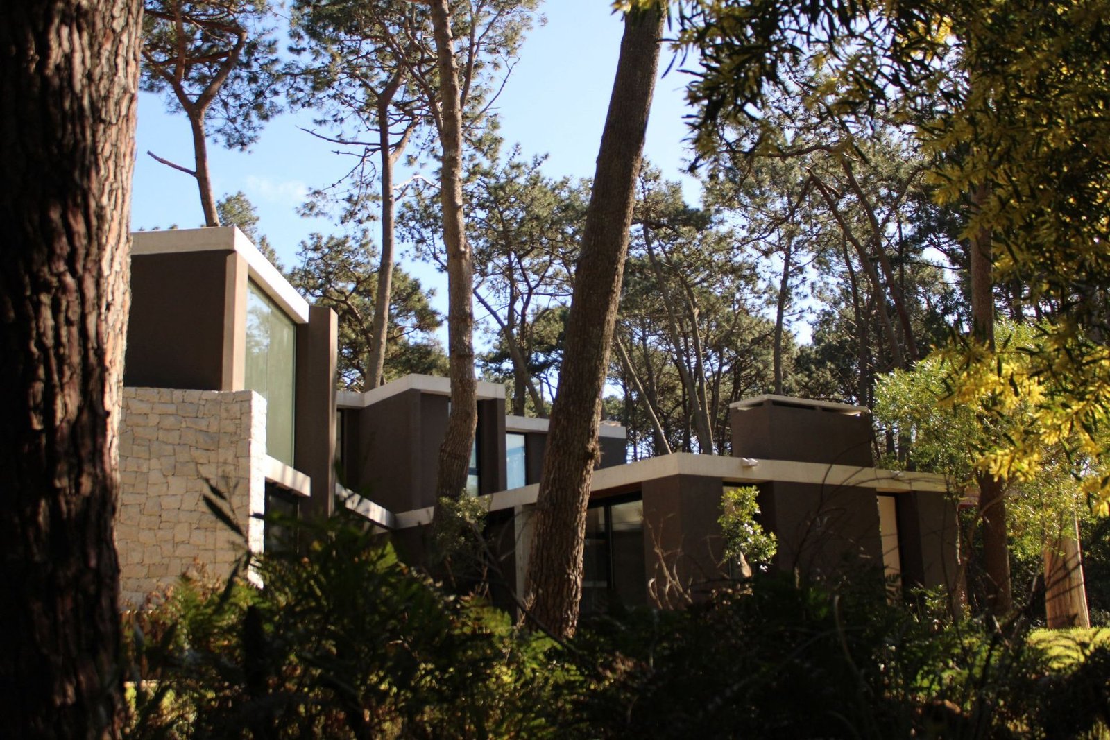 Incredible House In Private Neighborhood Reserva Montoya House in Laguna Blanca, Maldonado Department, Uruguay 1 - 13879505