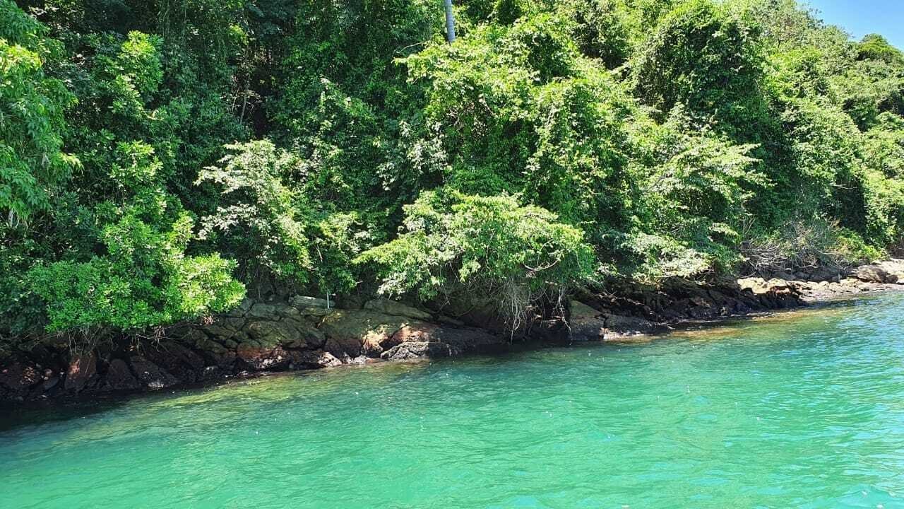 Exclusive And Unique Island Private Island in Rio de Janeiro, State of Rio de Janeiro, Brazil 1 - 15301998