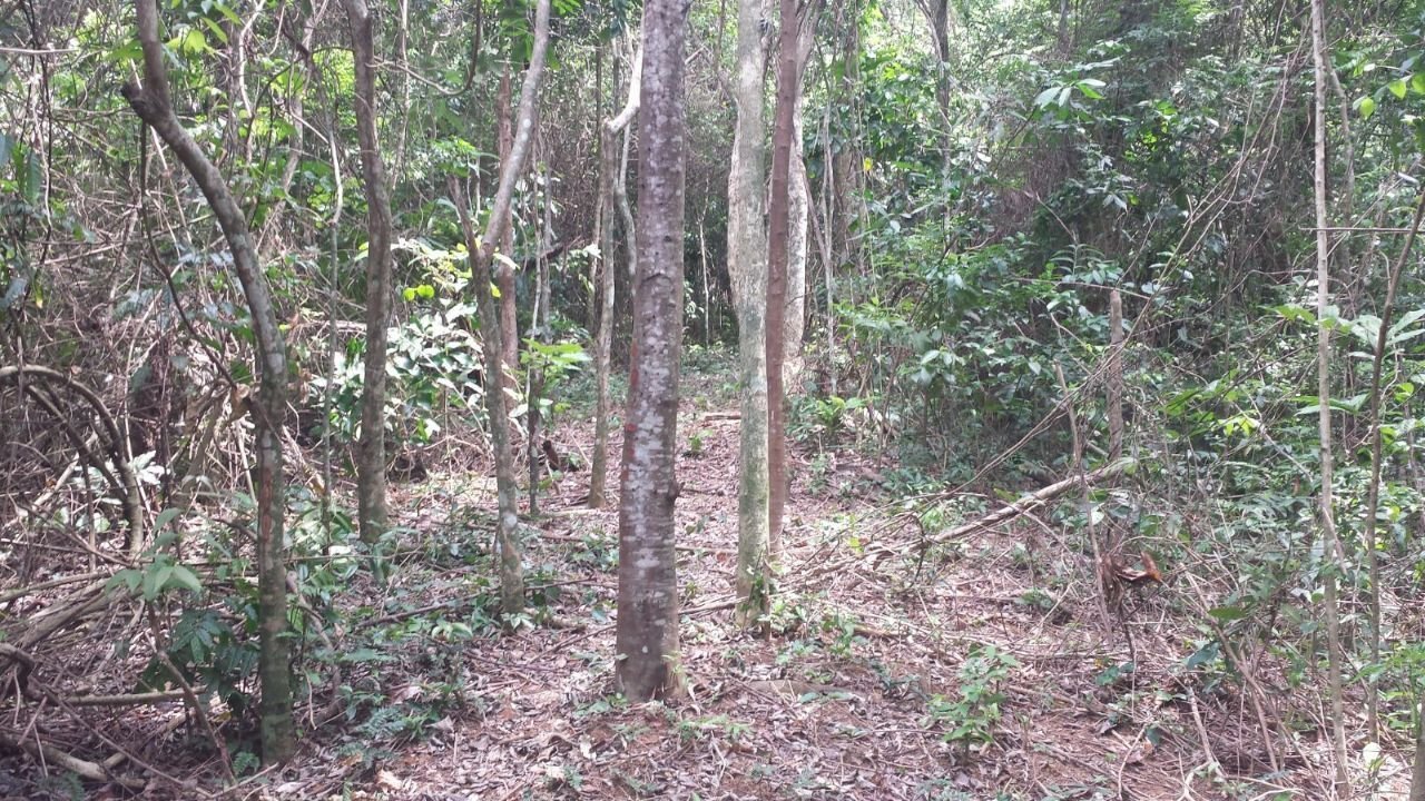 Exclusive And Unique Island Private Island in Rio de Janeiro, State of Rio de Janeiro, Brazil 1 - 15301998