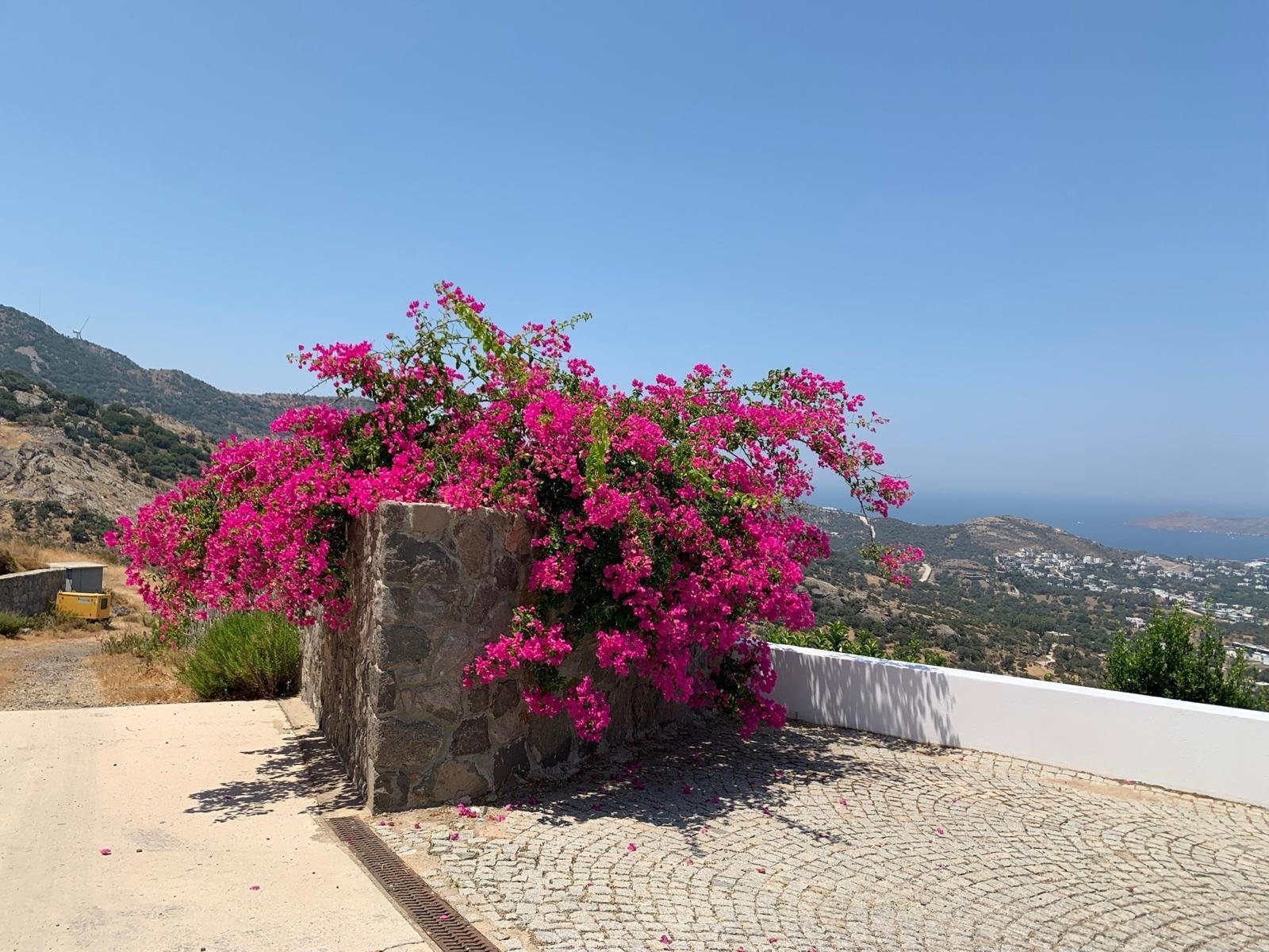 Modern Sea View Villa Designed By Richard Meier Villa in Yalıkavak, Muğla, Turkey 1 - 14323178