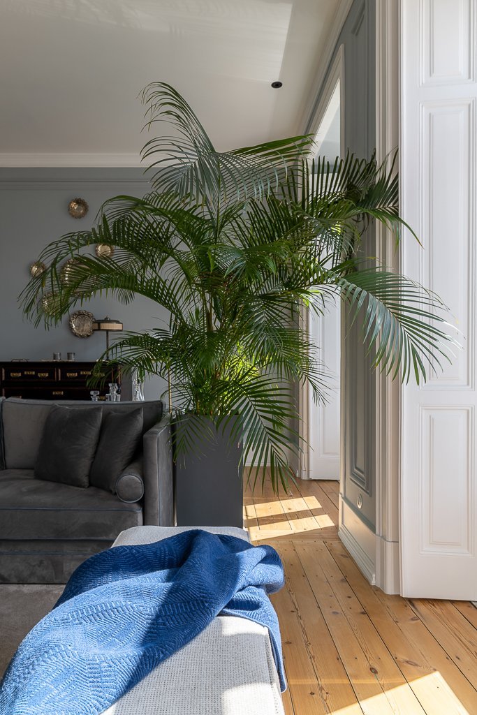 Exclusive Apartment In Lisbon Center Apartment in Arroios, Lisbon, Portugal 1 - 14235204