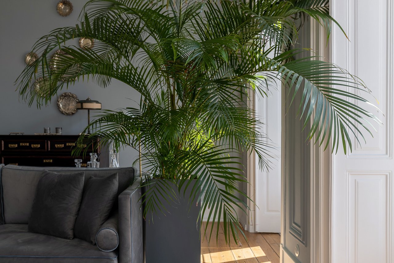 Exclusive Apartment In Lisbon Center Apartment in Arroios, Lisbon, Portugal 1 - 14235204