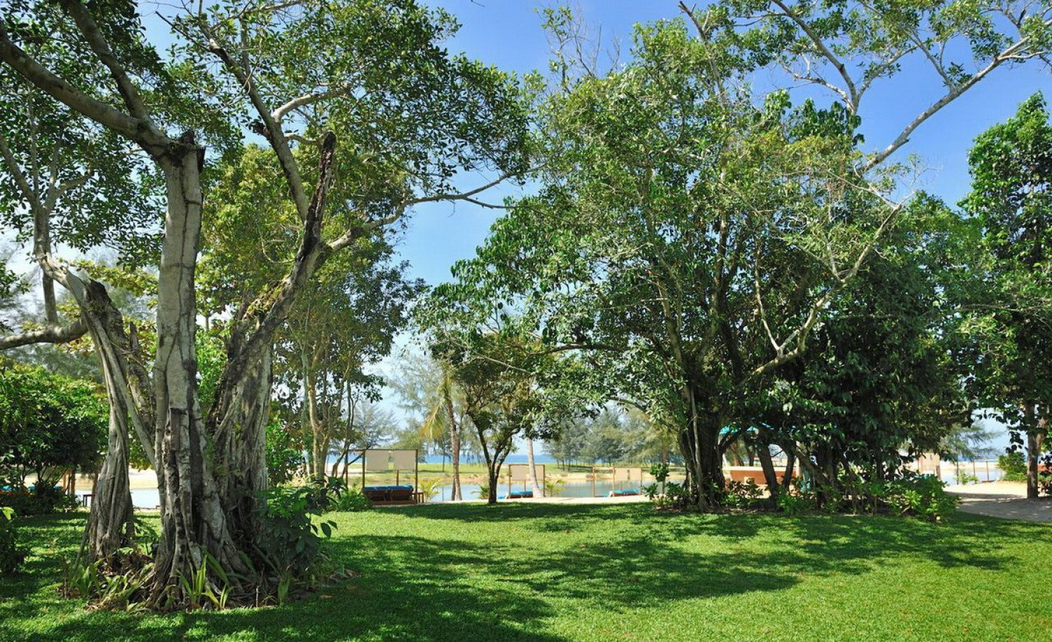 Phuket Hospitality Apartment in Phuket, Phuket, Thailand 1 - 14791659