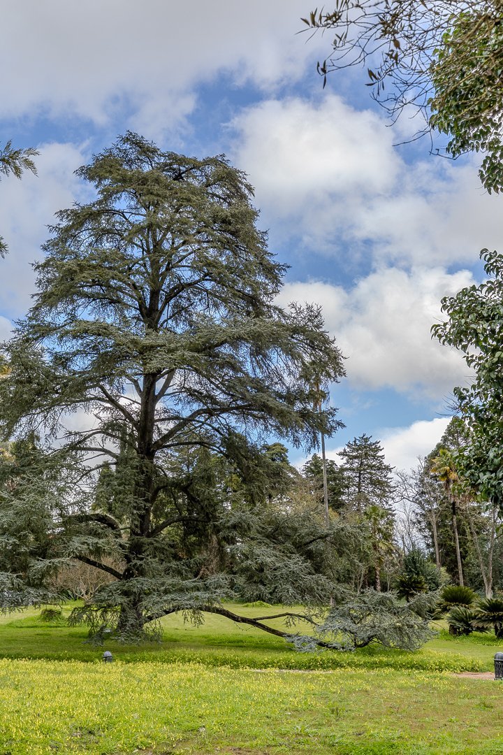 Exclusive 19th Century Palace In Elvas With Equestrian Facilities House in Caia, Sao Pedro e Alcacova, Portalegre District, Portugal 1 - 13945746