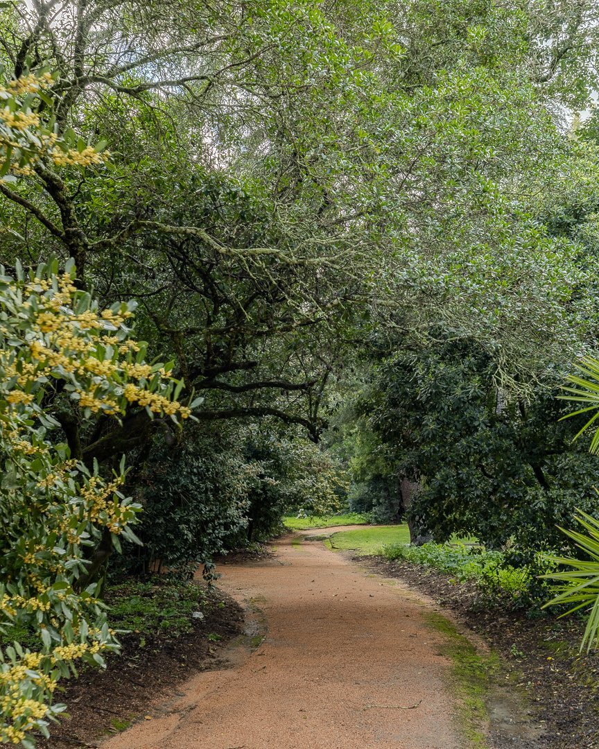 Exclusive 19th Century Palace In Elvas With Equestrian Facilities House in Caia, Sao Pedro e Alcacova, Portalegre District, Portugal 1 - 13945746