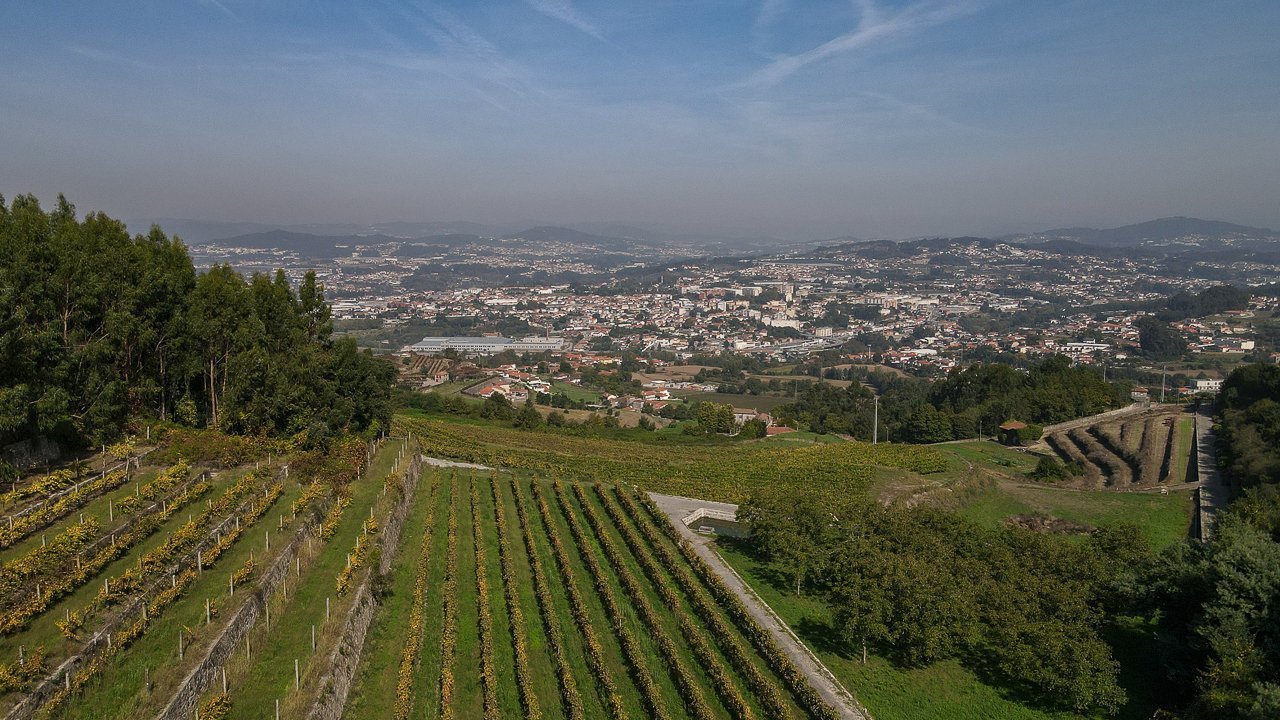 Unique 17th Century House In Porto House in Santo Tirso, Couto (Santa Cristina e Sao Miguel) e Burgaes, Porto District, Portugal 1 - 13396619