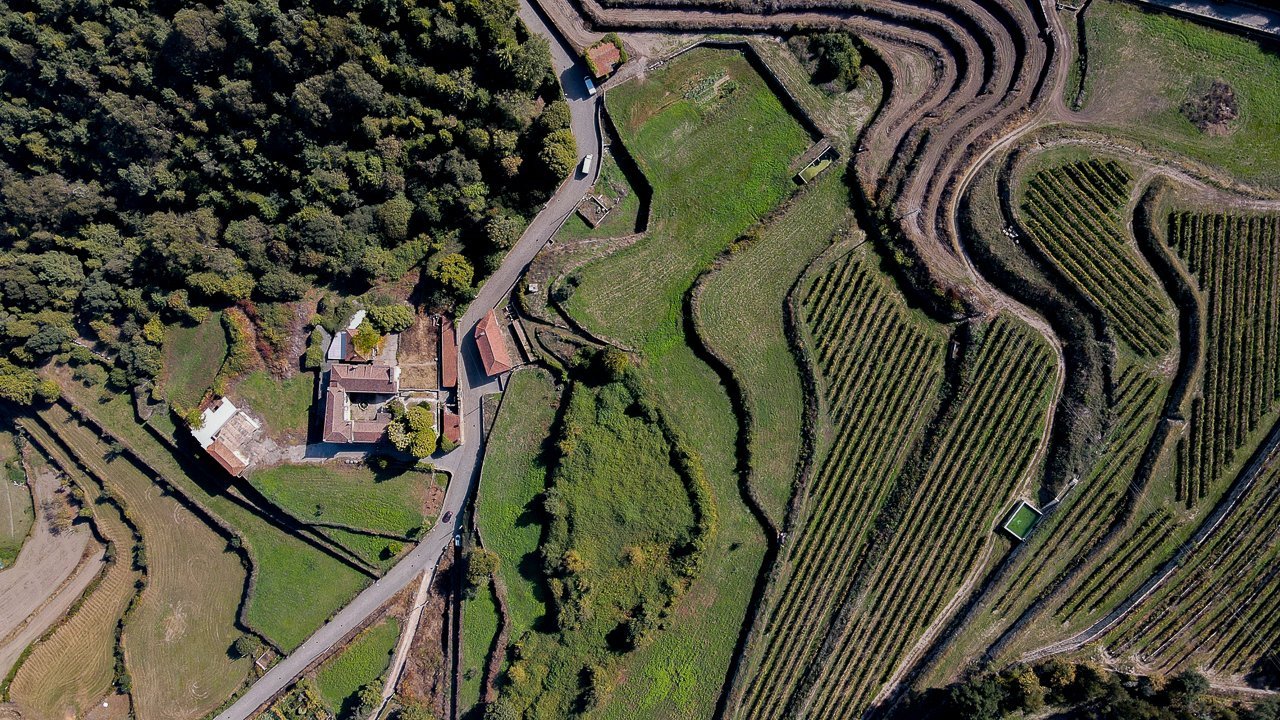 Unique 17th Century House In Porto House in Santo Tirso, Couto (Santa Cristina e Sao Miguel) e Burgaes, Porto District, Portugal 1 - 13396619