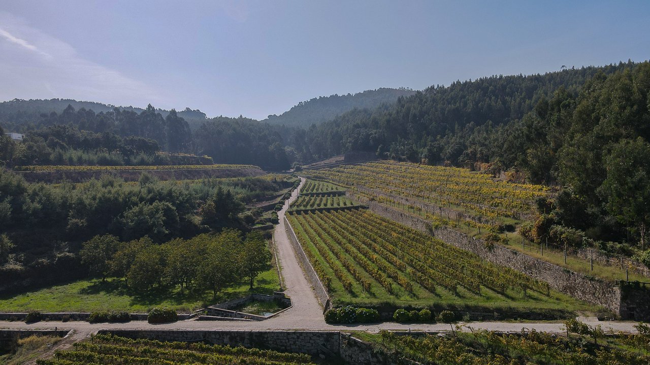 Unique 17th Century House In Porto House in Santo Tirso, Couto (Santa Cristina e Sao Miguel) e Burgaes, Porto District, Portugal 1 - 13396619