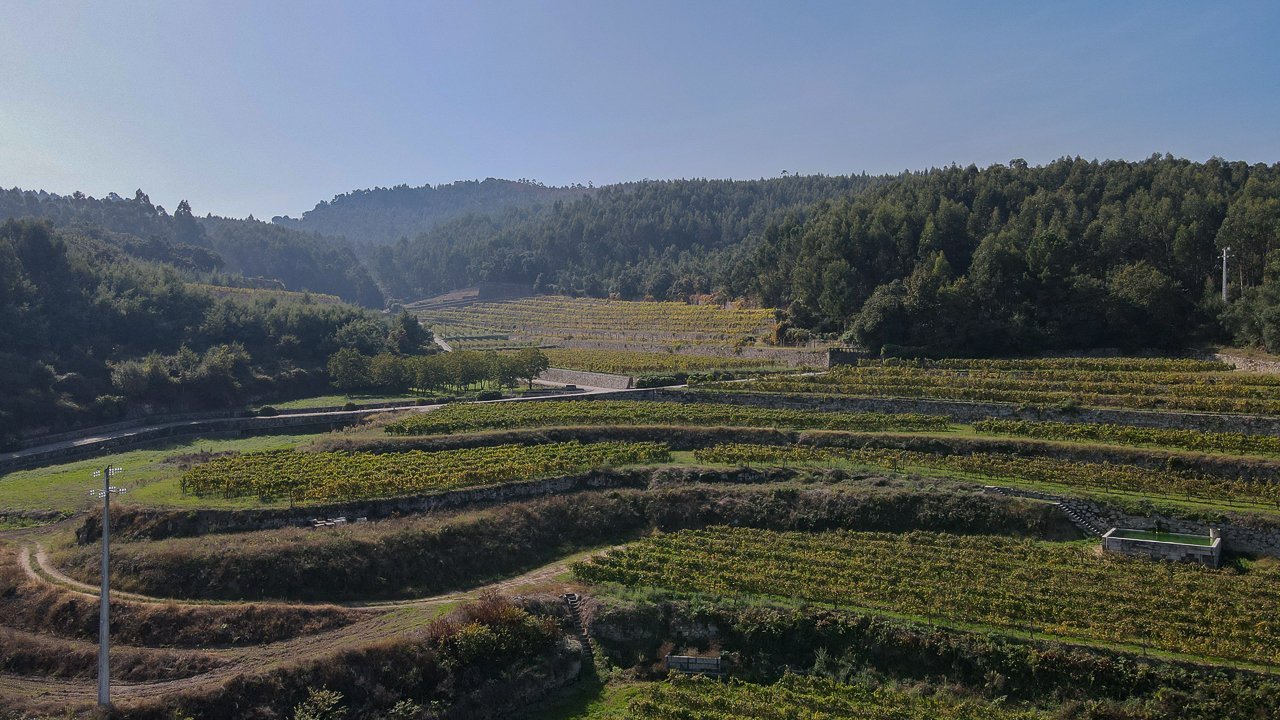 Unique 17th Century House In Porto House in Santo Tirso, Couto (Santa Cristina e Sao Miguel) e Burgaes, Porto District, Portugal 1 - 13396619