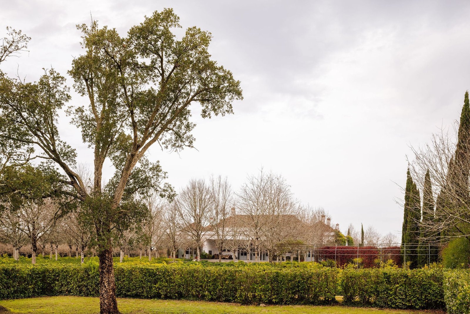 Unique Villa In Coimbra Countryside Villa in Coimbra (Se Nova, Santa Cruz, Almedina e Sao Bartolomeu), Coimbra District, Portugal 1 - 13787204