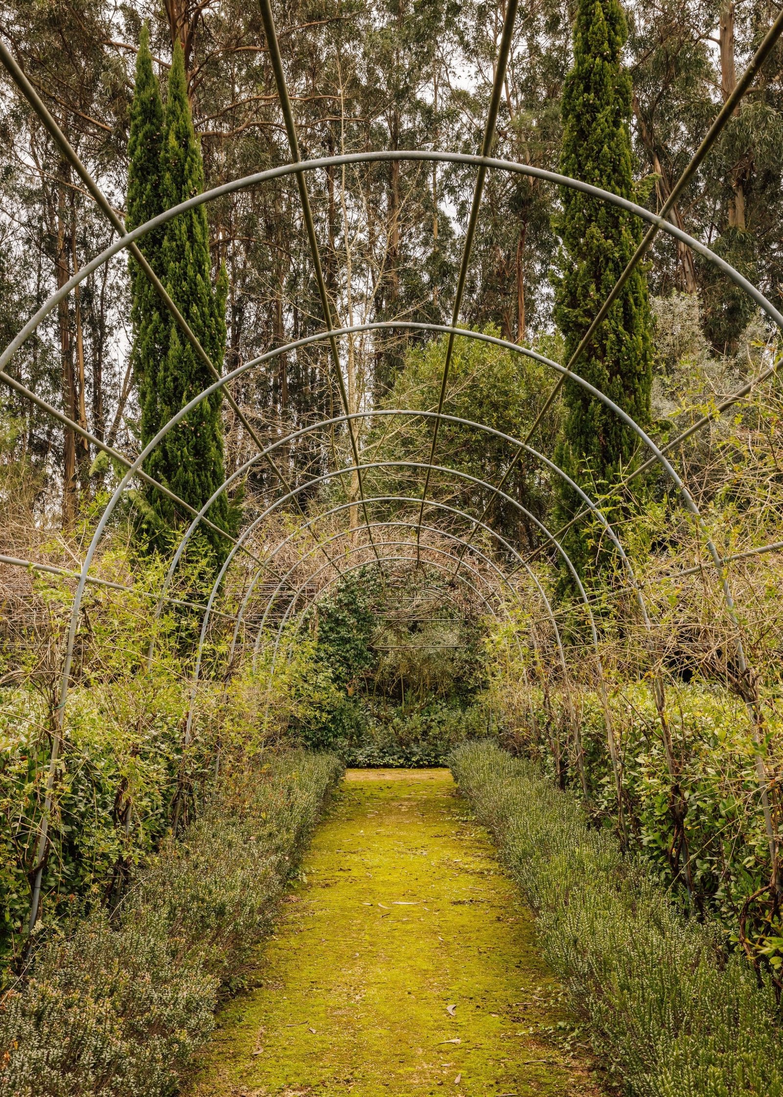 Unique Villa In Coimbra Countryside Villa in Coimbra (Se Nova, Santa Cruz, Almedina e Sao Bartolomeu), Coimbra District, Portugal 1 - 13787204