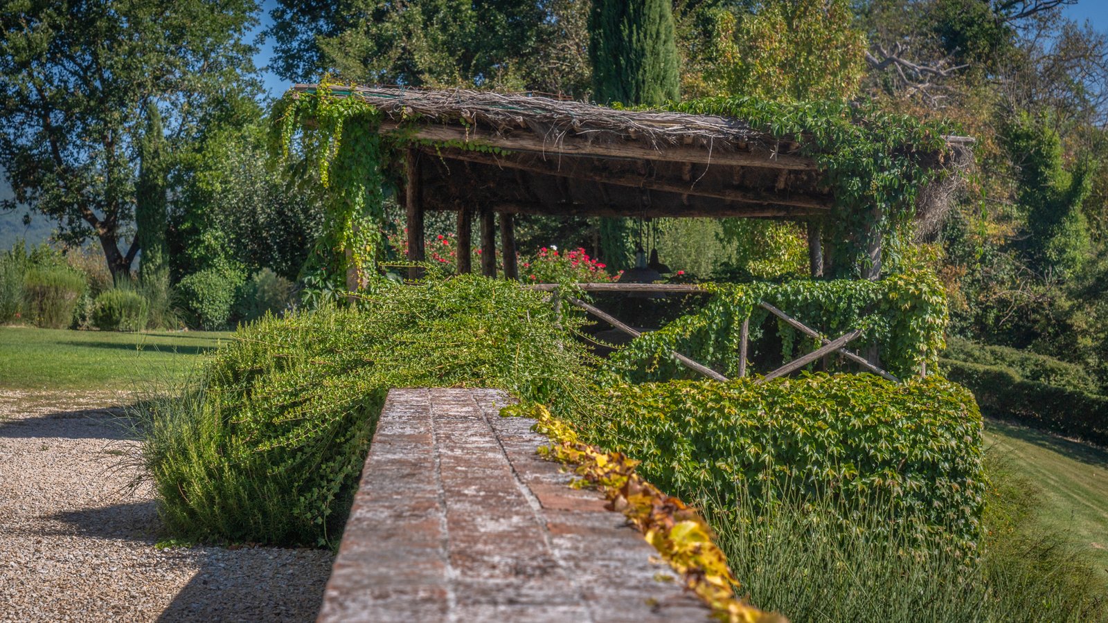 _258081013__249105244__A740983