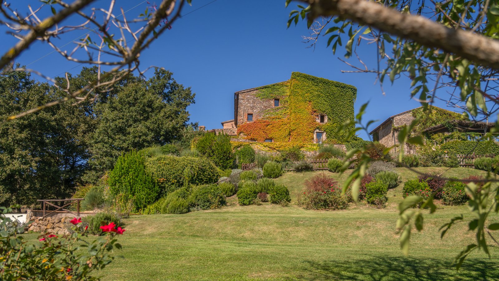 _258081033__249110522__A741000