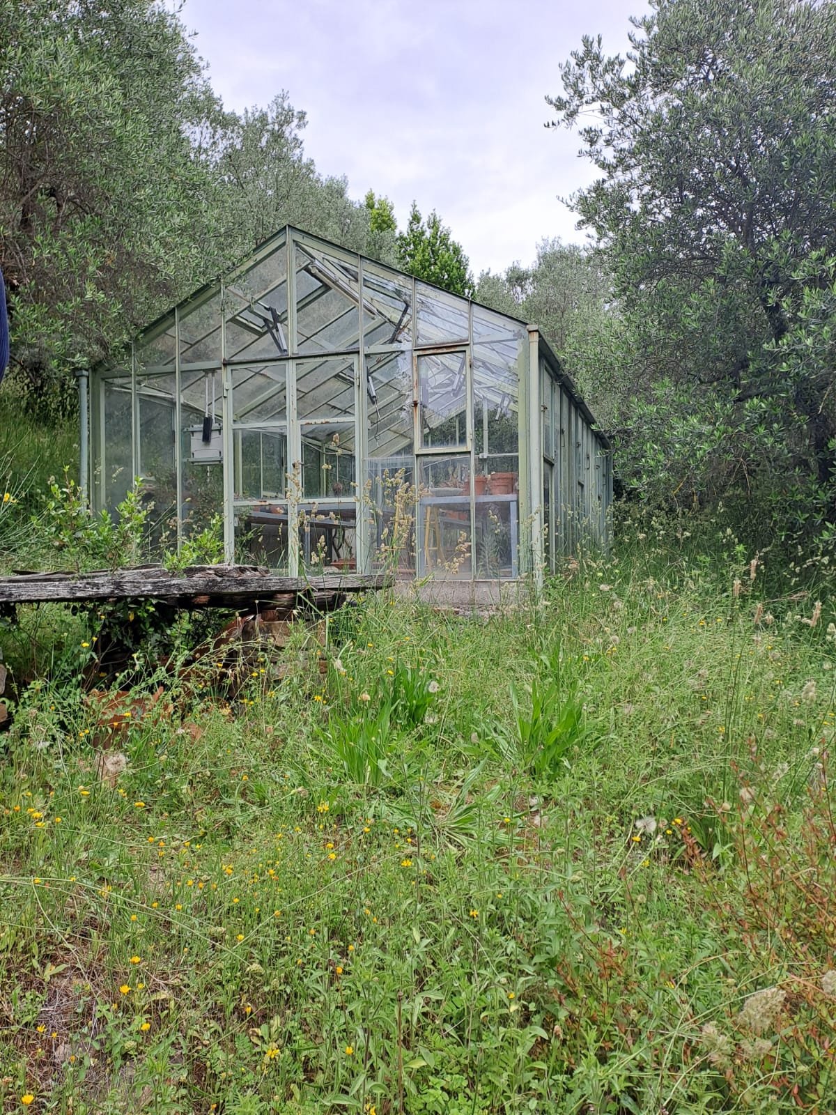 Immagine WhatsApp 2025-05-28 ore 14.34.54_d60b839d