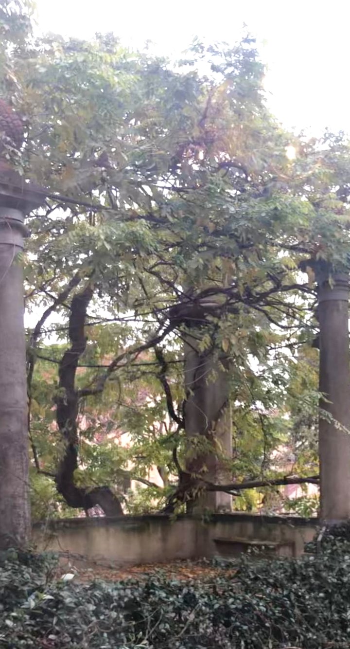 WhatsApp Image 2026-03-10 at 20.58.54 (1)