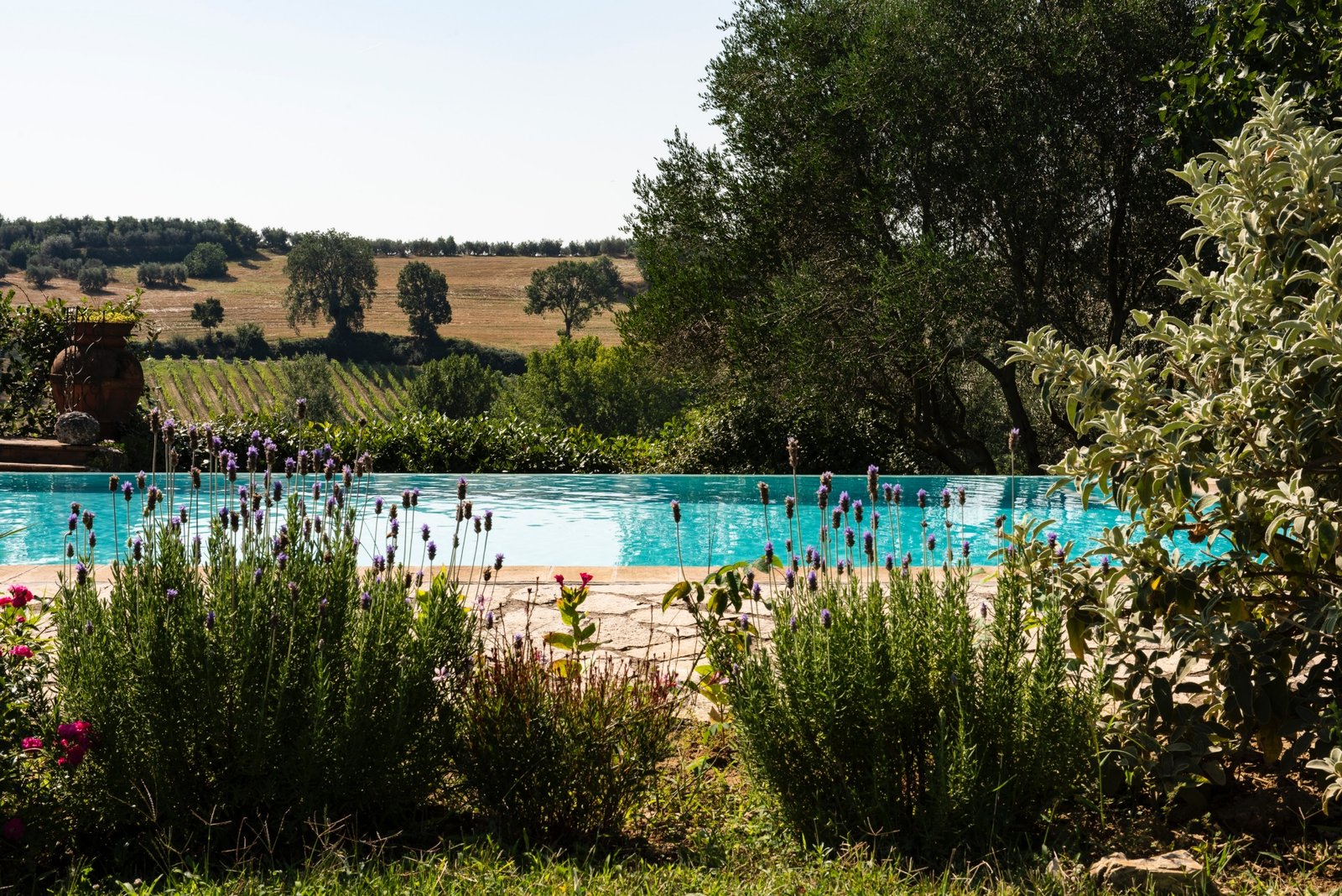 _DSC0752 Wonderful property with swimming pool in Montepulciano